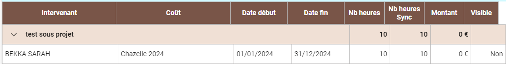 detail_temps_liste_projet.png